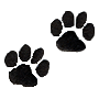 Small Paw Prints